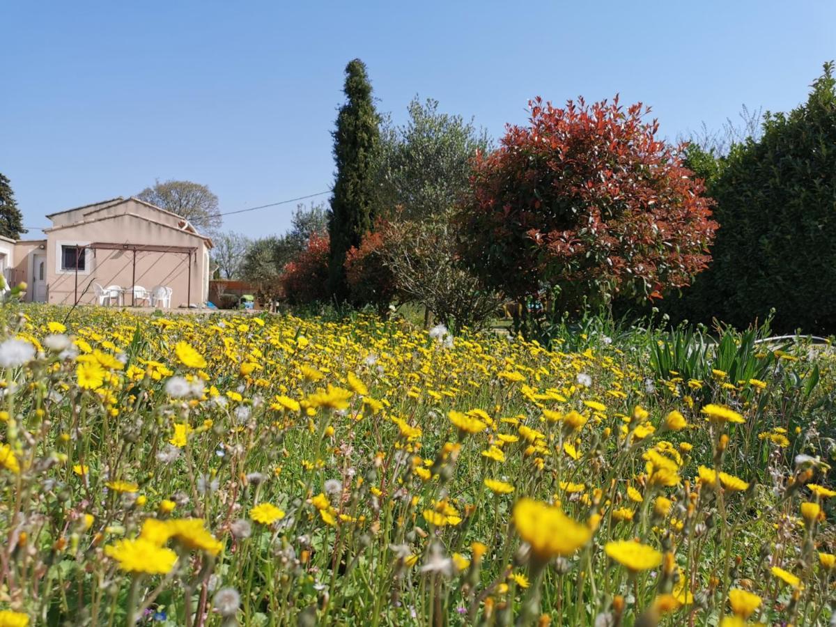 Maison De Vacances L'Hote Champetre Campagne Arlesienne 외부 사진